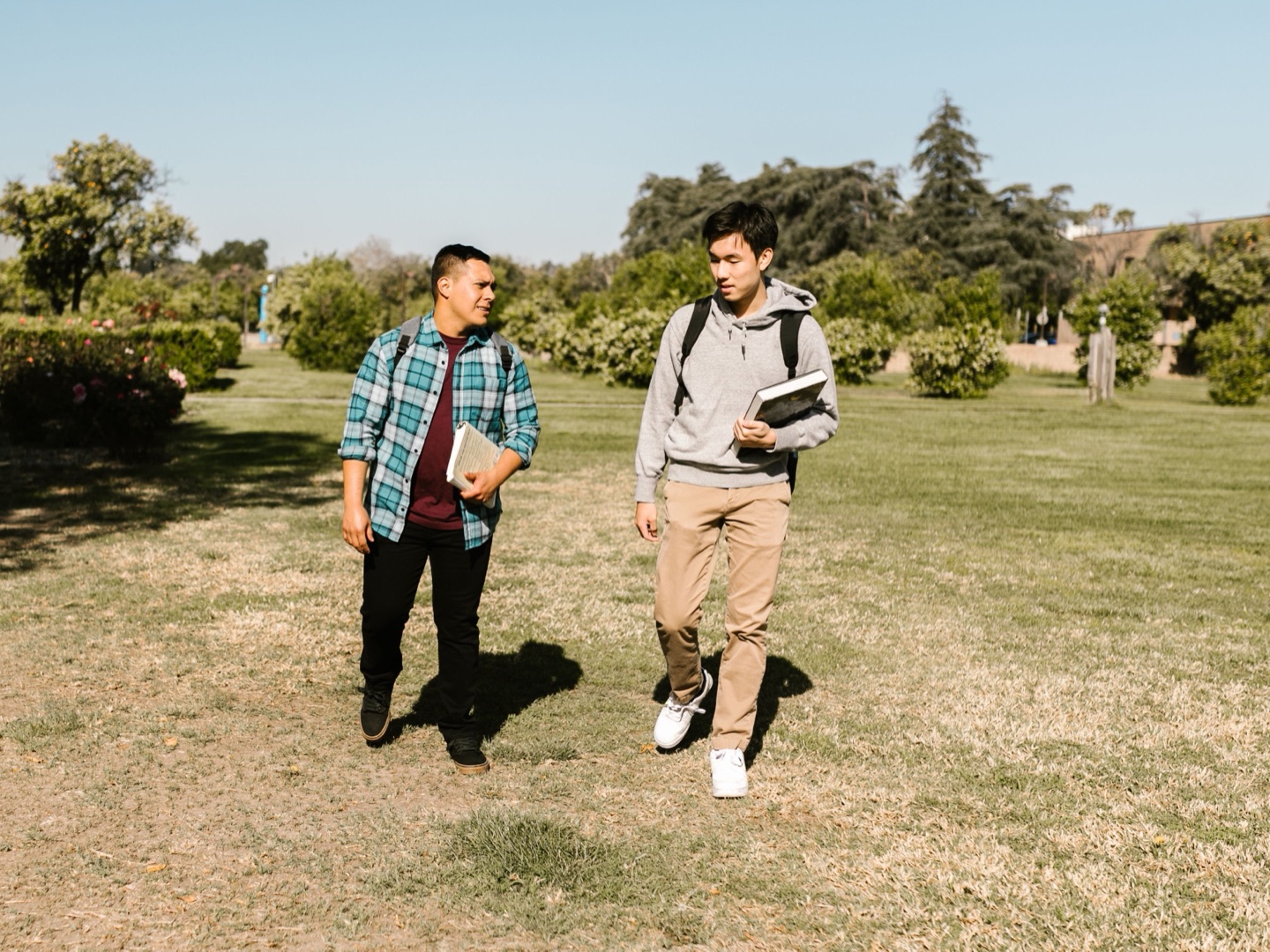 Two students walking across a sunny campus lawn, chatting and carrying books